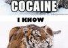 COCAINE COMP