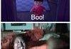 Boo