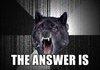 It is a question .