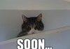 Beware