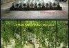 pot cave