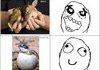 Baby animals
