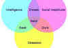 Venn Diagram