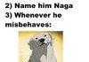 naga please