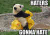 haters gonna hate