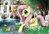 Fluttershy's paradise