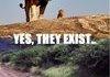 Yes, they exist.