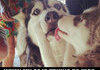 The Face