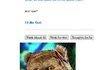 cleverbot
