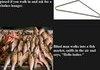 Offensive jokes 2