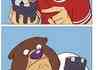 The Bear
