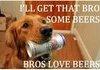 Well trained dog