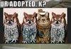 LOL Animals part3
