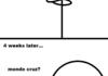 A True Story #5
