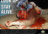 Drop bears