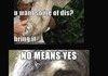 Sloths.