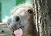 I can see u! :P