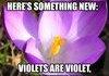 Poetry...