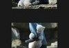 Man attacked by Polar Bear