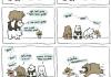 Bear games