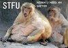Mr. Monkey Needs Diet