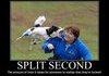 Split Second