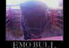 EmoBull