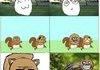 SQUIRREL RAPE