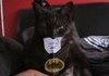 The hero that Gotham deserves