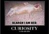 Curiosity