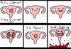 Funny picture