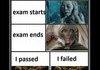 The power of exams