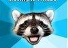 Bad Pun Raccoon Comp.