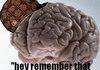 scumbag brain