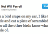sweet revenge