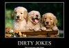 Dirty Jokes