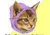 Hipstear cat is hipstear