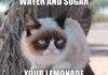 Sourpuss