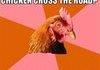 Chicken Poo