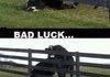 Bad luck