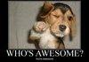 You Know Who's Awesome?