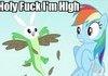 High