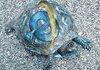 Internet Explorer's Mascot