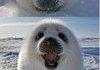 Cuteness overload