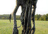 hell of scarecrow