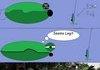 Fish's Mid