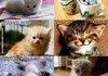 Sheldon Cooper!