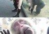 Monkey loves ass