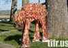 Bacon Starwars