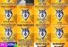 Collection of "Courage Wolf"